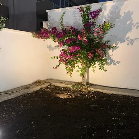 Frühstückspension Mercadante 3*