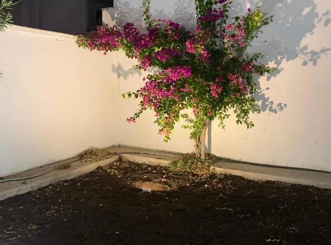 ベッド・アンド・ブレックファスト Mercadante 3*